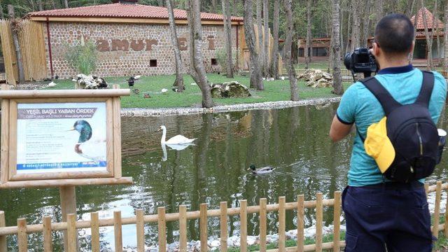 Fotoğraf tutkunları Kocaeli’de buluştu