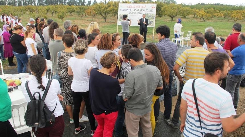 Yalova&rsquo;da Aronya Hasat Şenliği