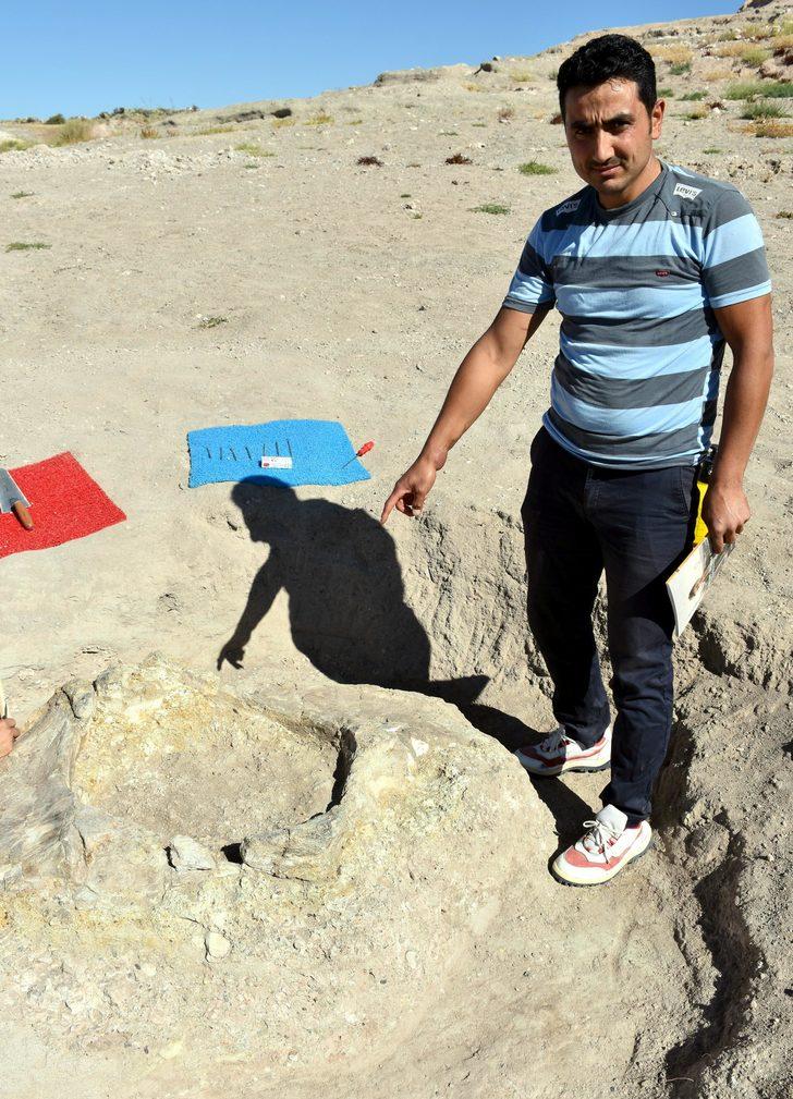 10 milyon yıl önce yaşamış fil fosillerini çoban buldu  G2