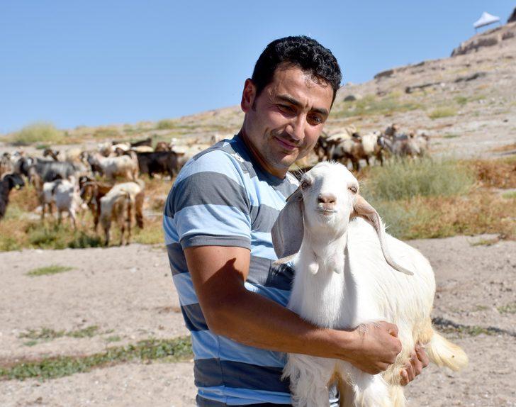 10 milyon yıl önce yaşamış fil fosillerini çoban buldu  G3