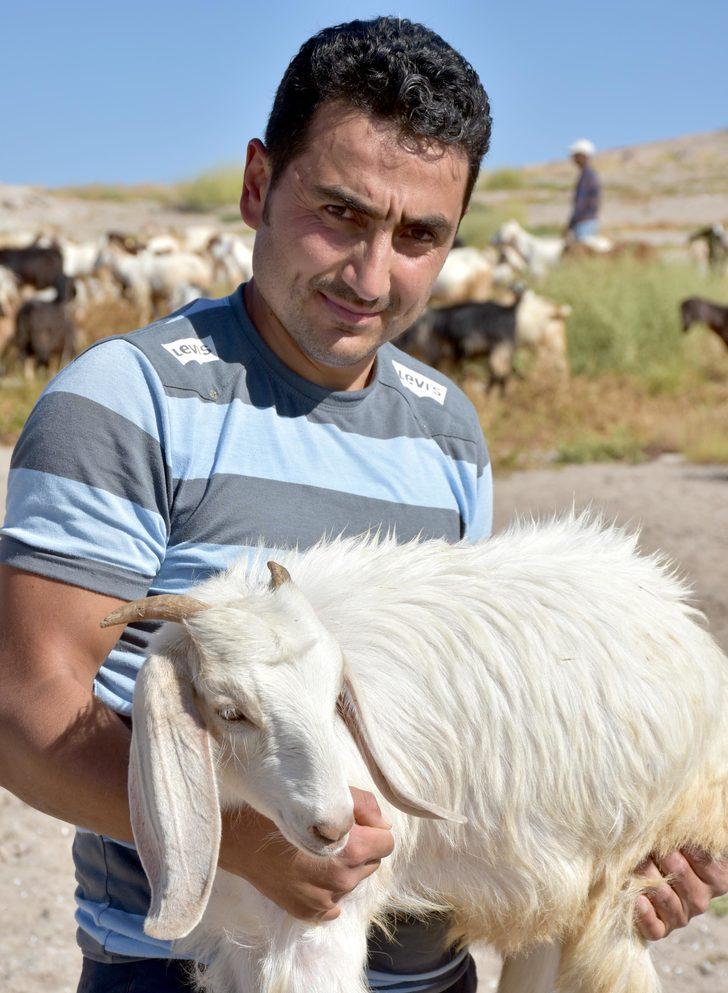 10 milyon yıl önce yaşamış fil fosillerini çoban buldu  G4