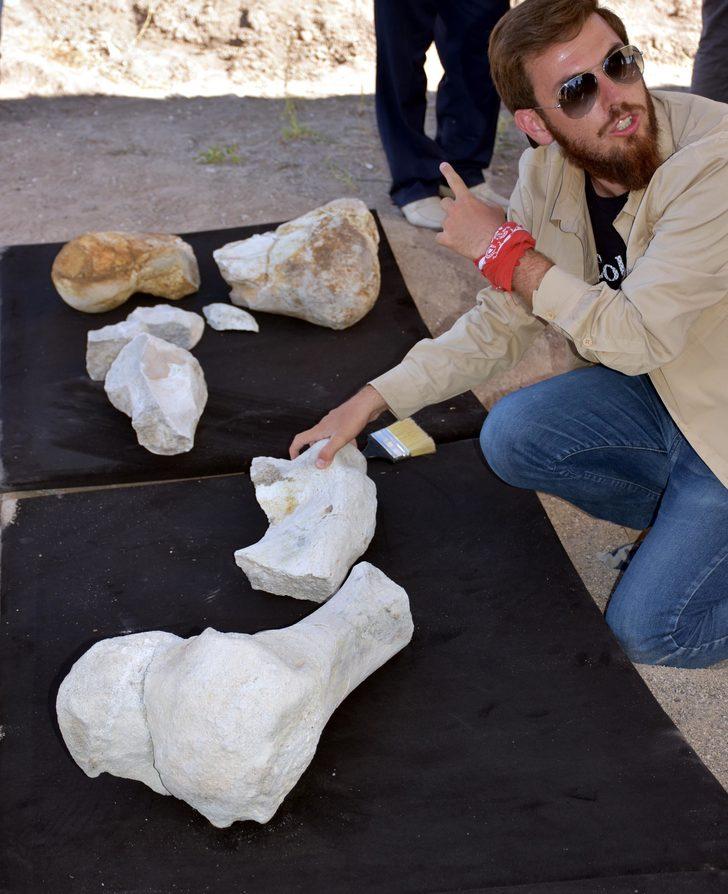 10 milyon yıl önce yaşamış fil fosillerini çoban buldu  G5