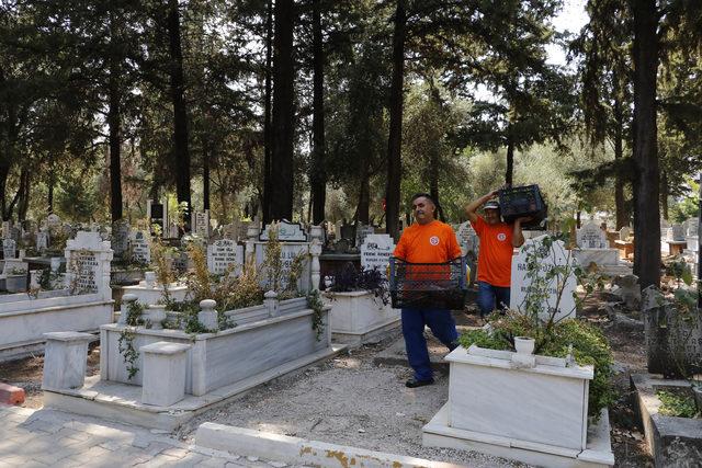 Kabir bakımında yurt dışına açılacak