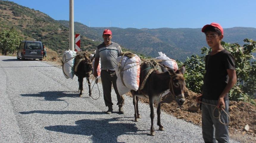 Aydınlı &uuml;reticiler at ve eşeklerden vazge&ccedil;emiyor