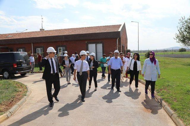 Japon İşbirliği Aajansı’nın yetkilileri Kilis’te atık su arıtma tesisini ziyaret etti