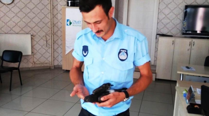 Vatandaşlar buldukları yaralı kedi ve g&uuml;vercini zabıtaya teslim etti