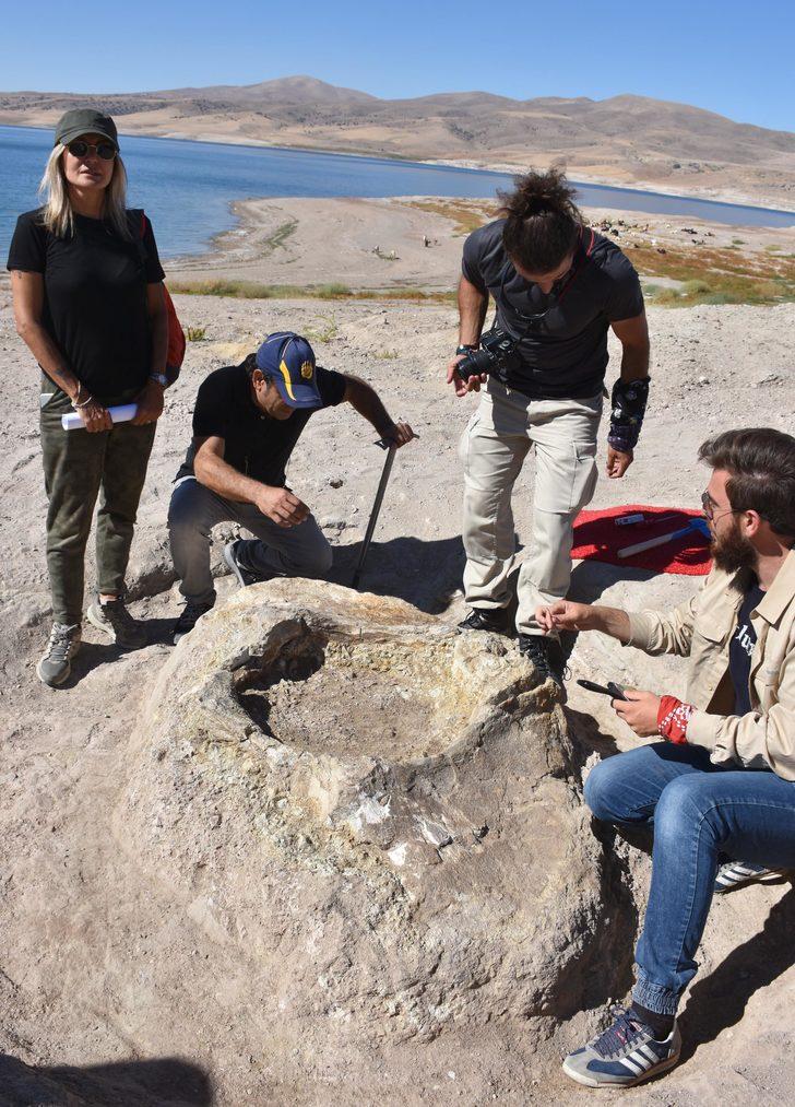 Kayseri'den 10 milyon yıllık fil fosili çıktı! G1