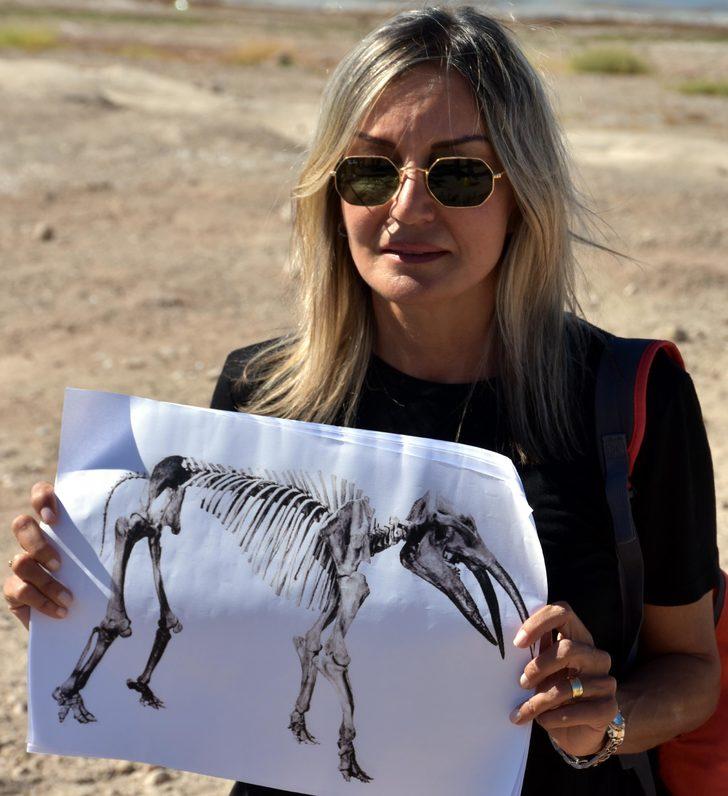 Kayseri'den 10 milyon yıllık fil fosili çıktı! G2