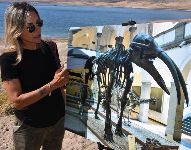 Kayseri'den 10 milyon yıllık fil fosili çıktı! G4