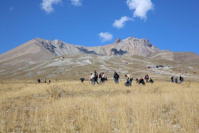 Erciyes’ten toplanan tohumlar Erciyes’e dikiliyor