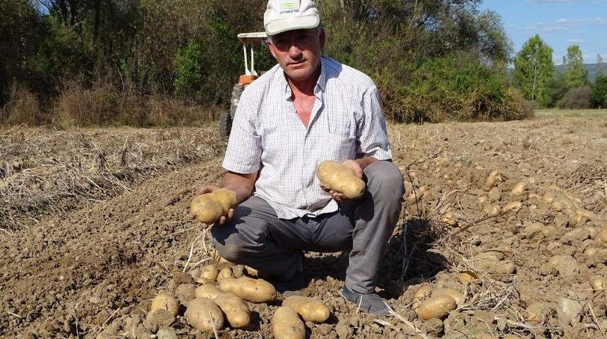25 yıldan beri yetiştirdiği kavun ve patatesle ge&ccedil;imini sağlıyor