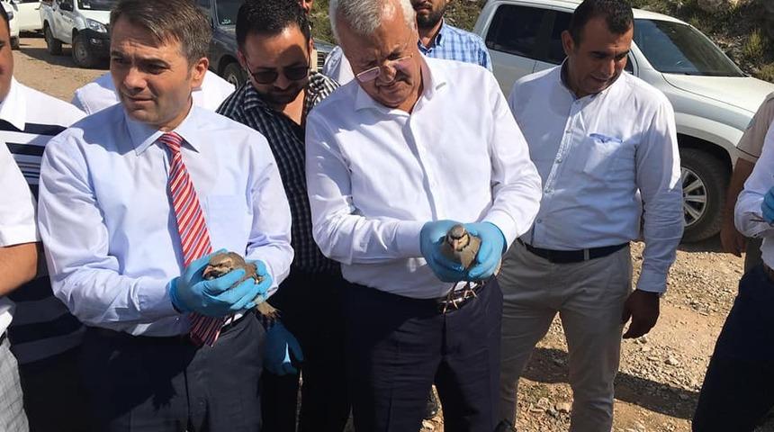 250 kınalı keklik doğayla buluşturuldu