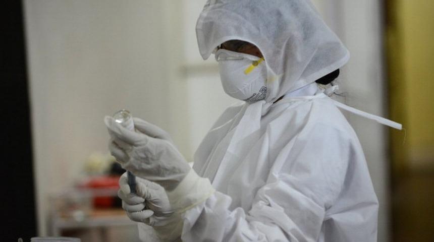 Domuz gribinden can kaybı 100'&uuml; buldu