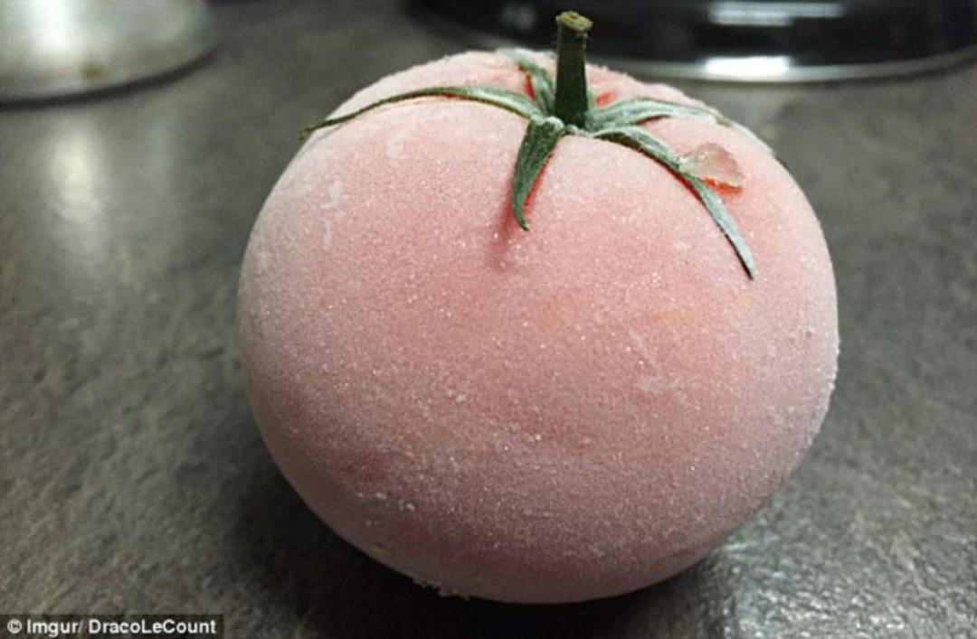 Domates buzluktan &ccedil;ıkınca bakın ne hale geldi!