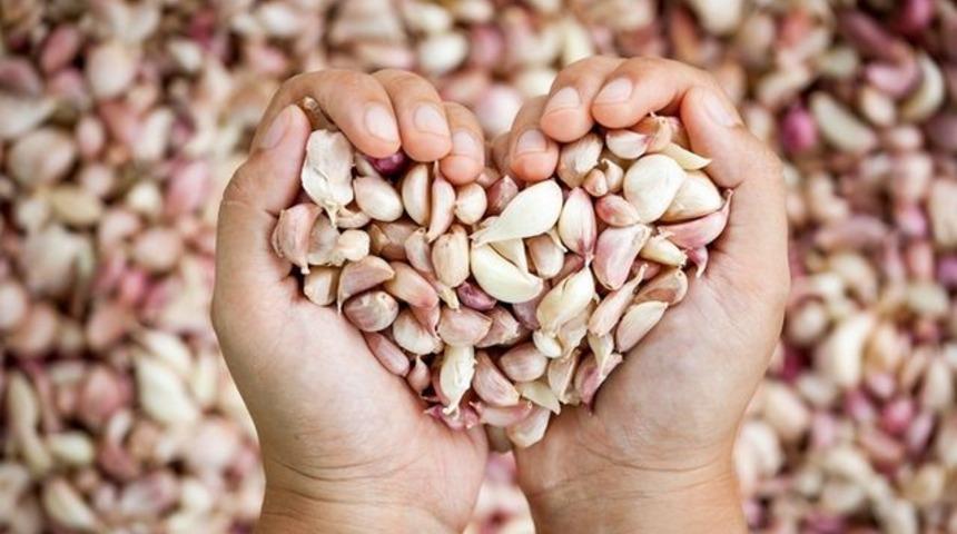 Sarımsağın faydaları: Sarımsak hangi hastalığa iyi gelir? Sarımsak yutmanın faydaları nelerdir?