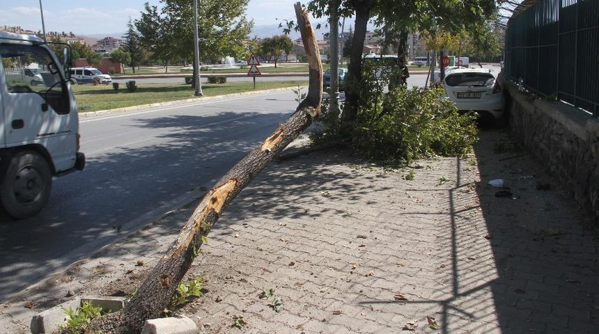 Otomobil ağaca &ccedil;arptı:3 yaralı