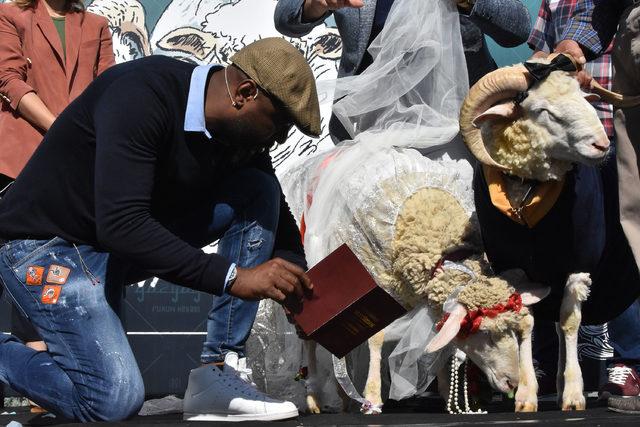 Koç ile koyun için sembolik düğün yaptı, temsili nikah şahidi Pascal Nouma oldu