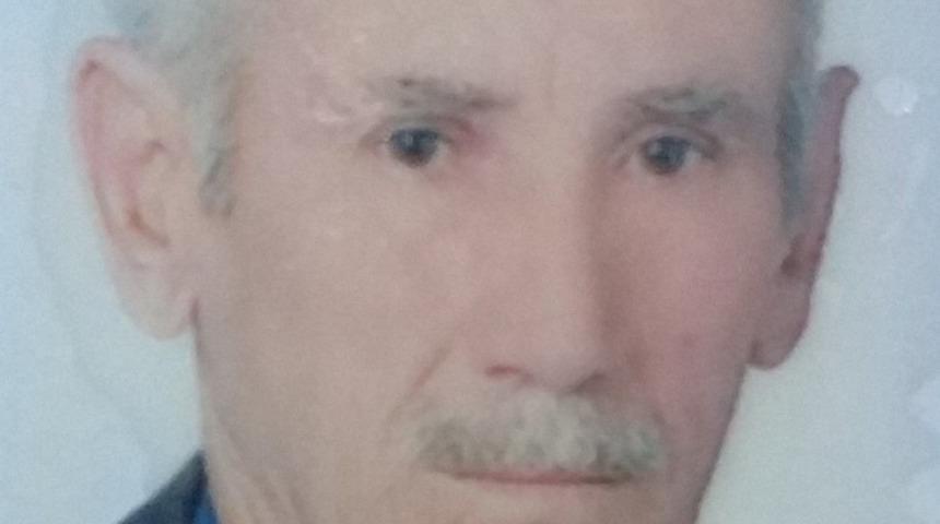 Ağa&ccedil; budarken kalp krizi ge&ccedil;iren yaşlı adam hayatını kaybetti