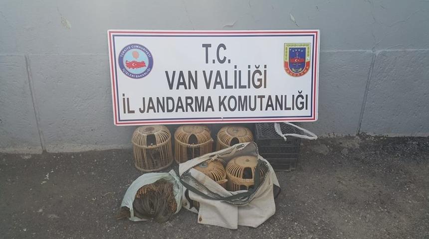 Gevaş&rsquo;ta ka&ccedil;ak avlanan 12 kınalı keklik ele ge&ccedil;irildi