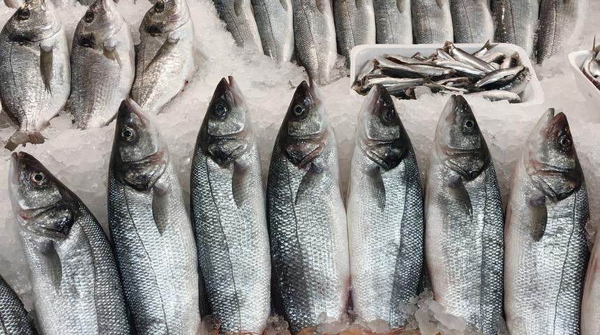 Kırmızı etten sonra balık için de tehlike uyarısı