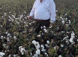 Zaroğlu: Pamuk fiyatı iyi ama girdiler yüksek