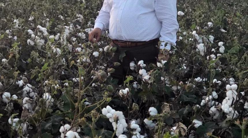 Zaroğlu: Pamuk fiyatı iyi ama girdiler yüksek
