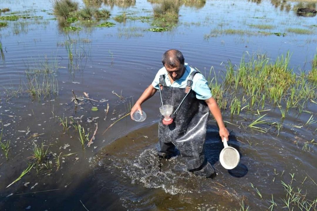 Samsun&rsquo;un s&uuml;l&uuml;k pop&uuml;lasyonu belirleniyor