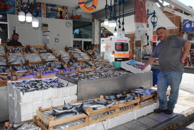 Karadeniz'de palamut bolluğu; fiyatı 5 liraya geriledi