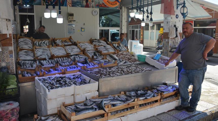 Karadeniz'de palamut bolluğu; fiyatı 5 liraya geriledi