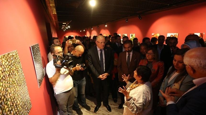 Gastroantep festivali&rsquo;nde "tohum" sergisi a&ccedil;ıldı