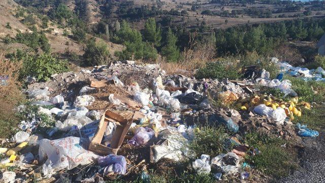 Yol kenarına dökülen çöpler, çevre kirliliğine sebep oluyor