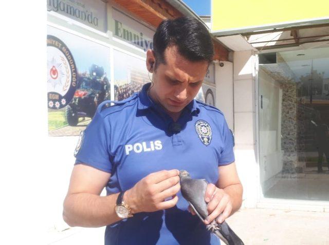 Polis memurları yaralı güvercin için seferber oldu