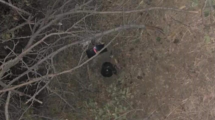 Bıldırcın sesi &ccedil;ıkaran cihaz ele ge&ccedil;irildi