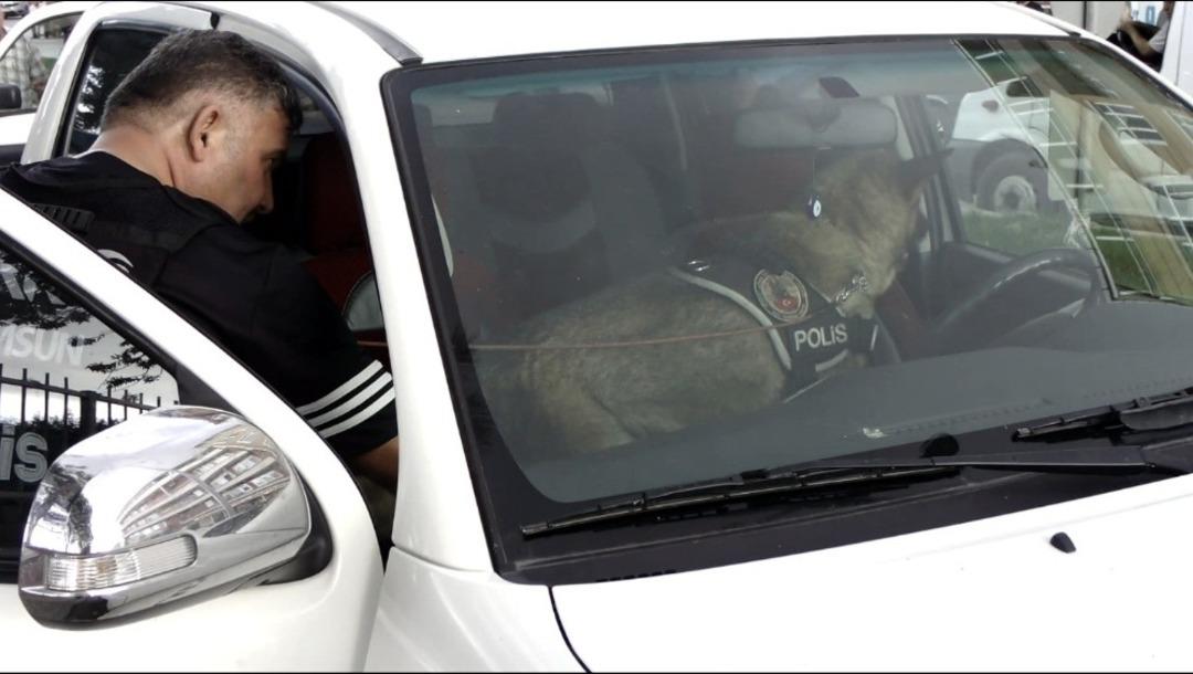Bafra didik didik arandı