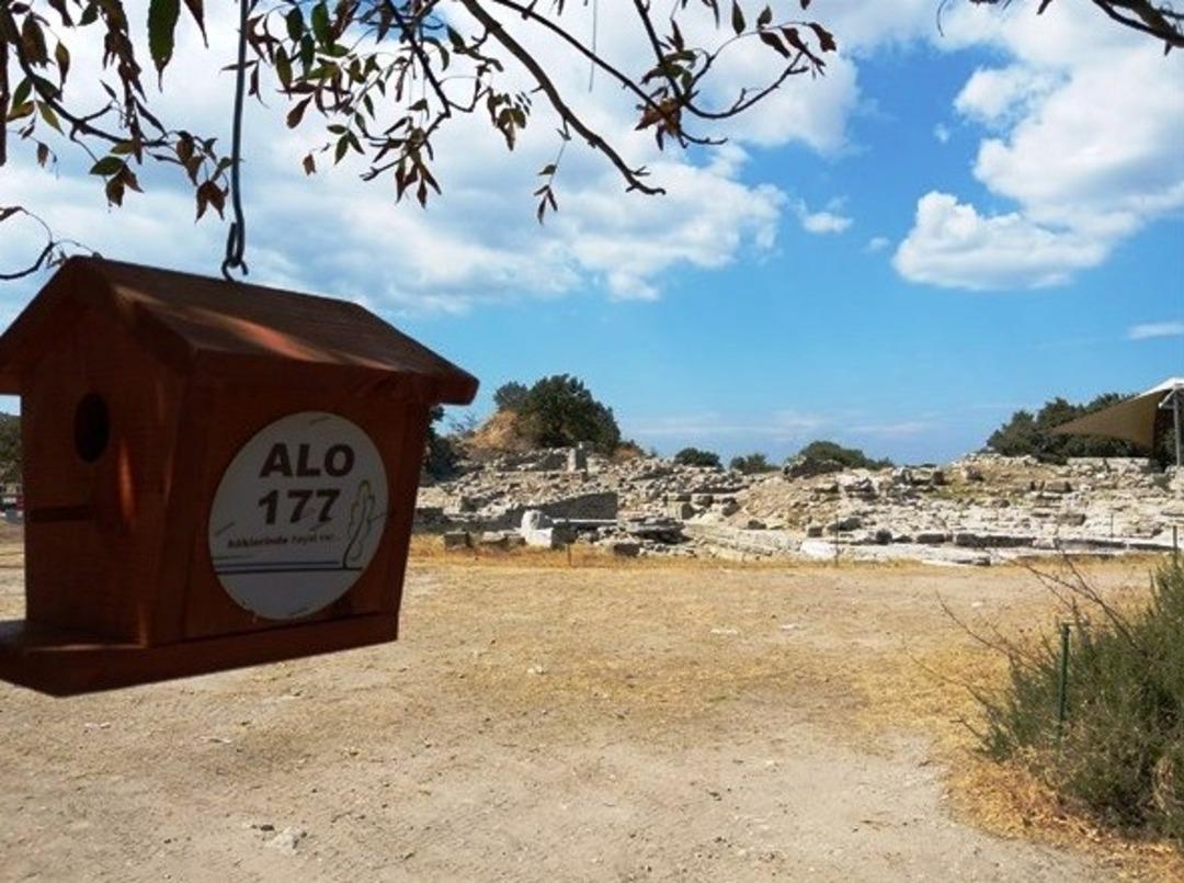 Troya&rsquo;nın kuşlarına yuva