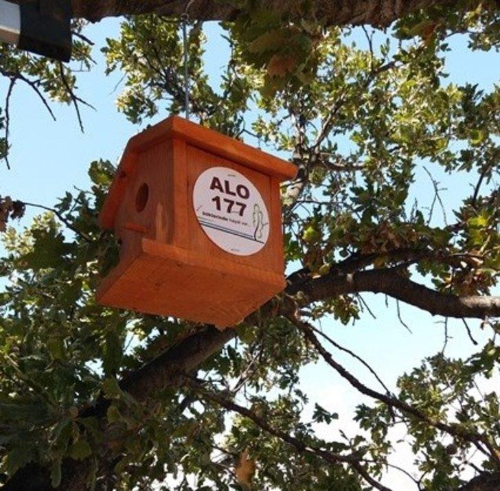 Troya’nın kuşlarına yuva G3