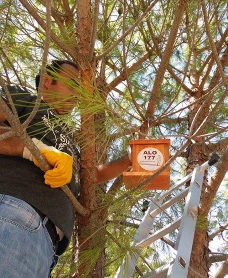 Troya’nın kuşlarına yuva G4