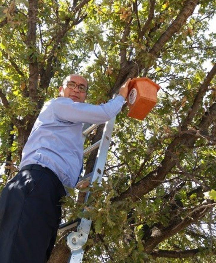 Troya’nın kuşlarına yuva G5