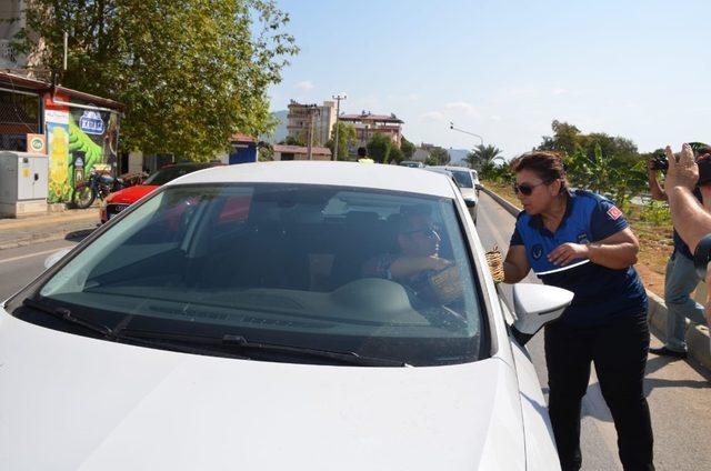 Bozyazı’da yol kenarlarına ekilen yer fıstıkları hasat edildi