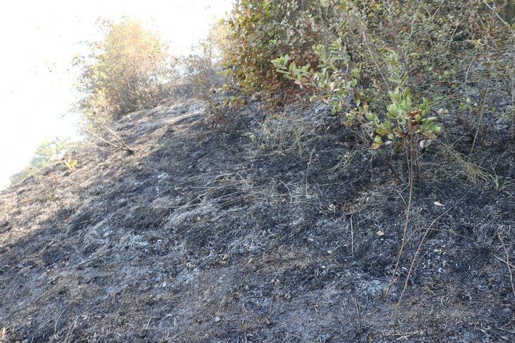 Çalılık yangını ekiplerce söndürüldü G2