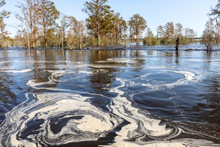 Kasırga çevre felaketine yol açtı!  G4