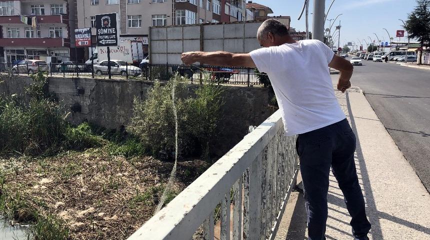 Alaplı&rsquo;da "İsrail sazanı" avı başladı