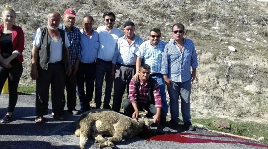 K&ouml;ye asfalt geldi k&ouml;yl&uuml;ler kurban kesti