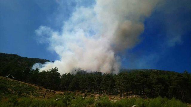 Adana’daki orman yangını kontrol altına alındı