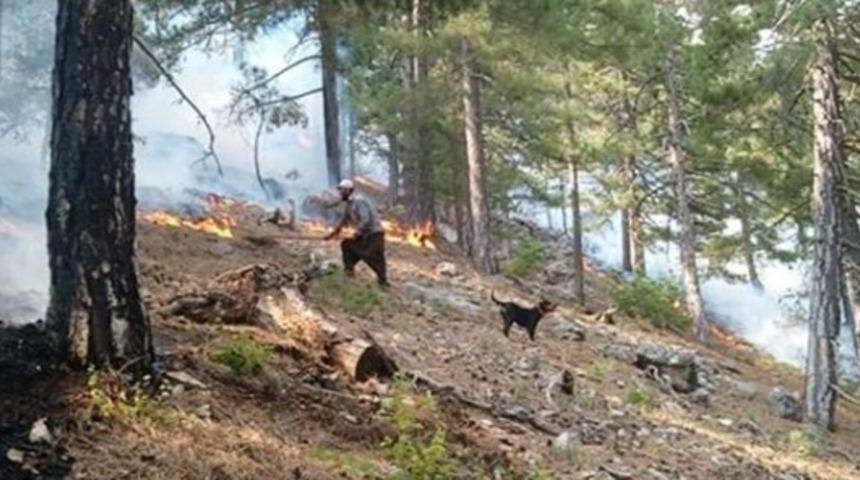 Adana&rsquo;daki orman yangını kontrol altına alındı