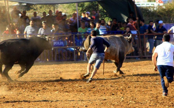 Boğalar cami için arenaya çıktı G5