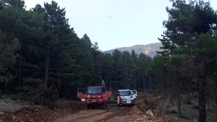 GÜNCELLEME - Adana'da orman yangını G4