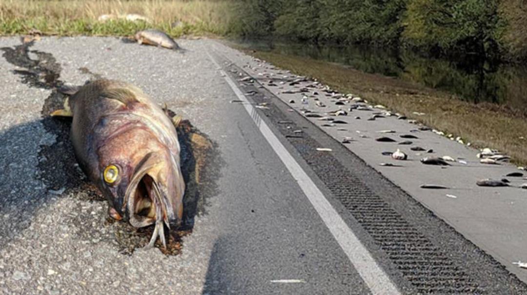 Sel suları &ccedil;ekilince ortaya &ccedil;ıktı! 