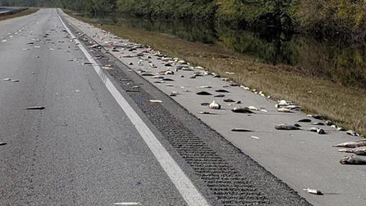 Florence Kasırgası sonrası şoke eden görüntüler! G1