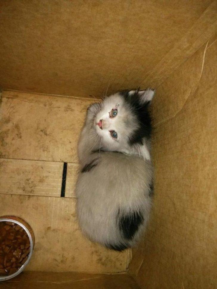 Bu test kişiliğinizi ele veriyor! Hangi fotoğraf sizi daha çok rahatsız etti? G2